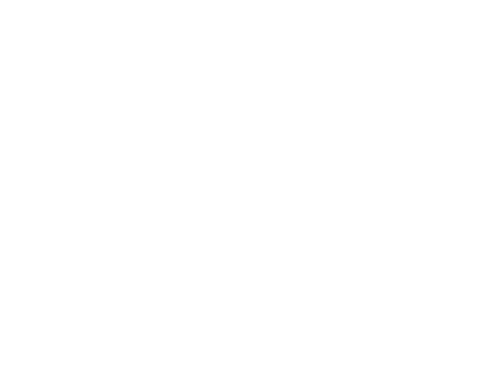 We Are St. Pete - The Sunshine City